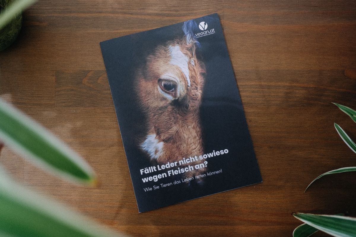 Broschüre Leder
