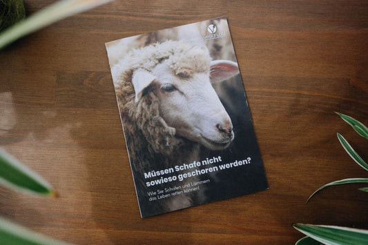Broschüre Wolle
