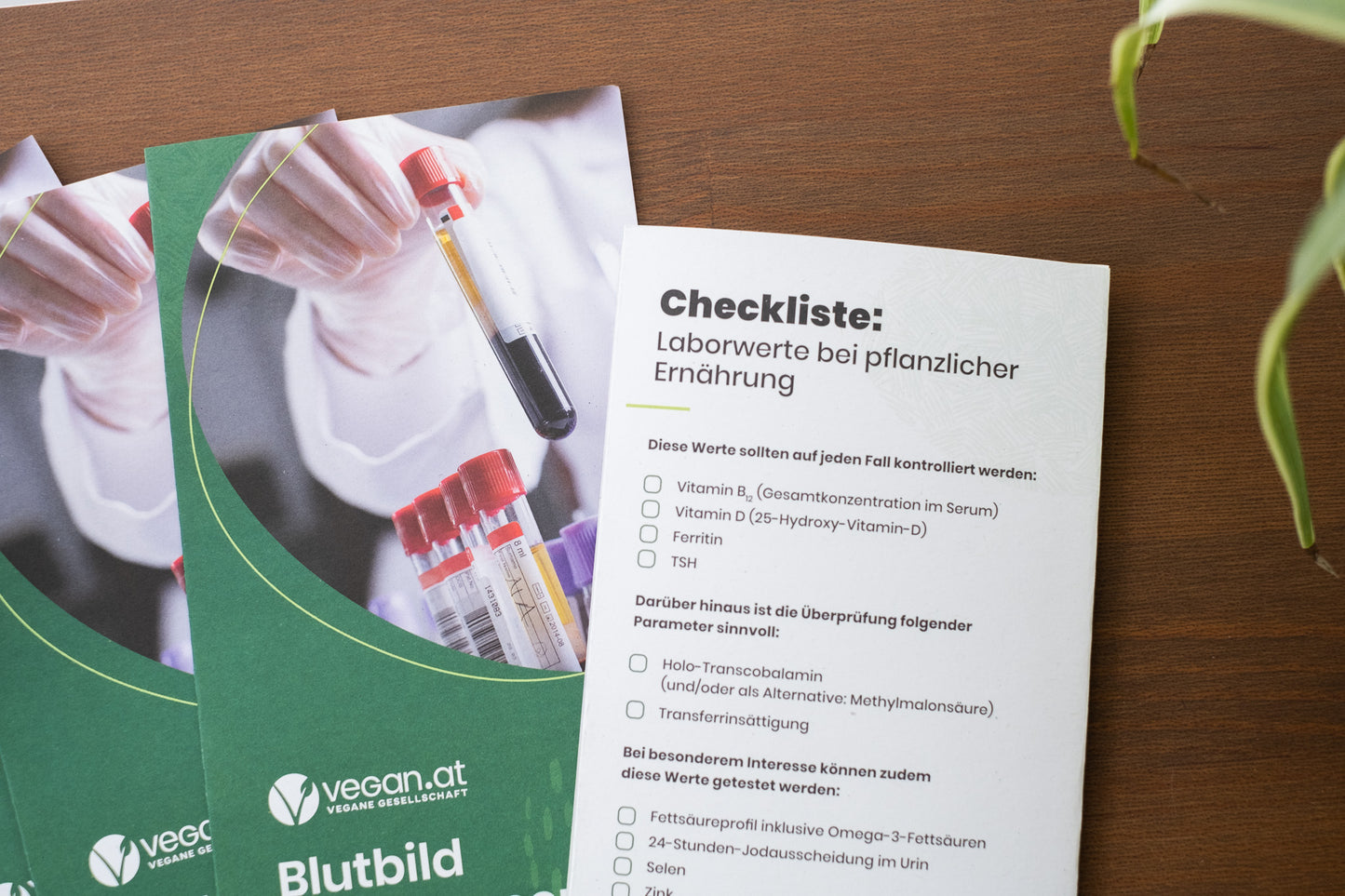 Checkliste für Ihr Blutbild