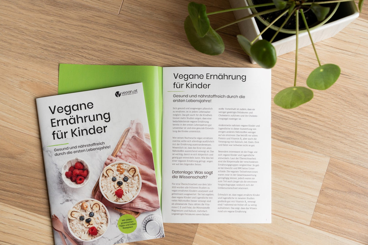 Vegane Ernährung für Kinder