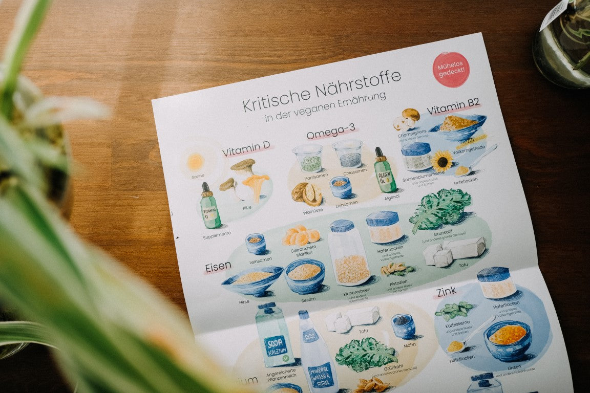 Poster Kritische Nährstoffe